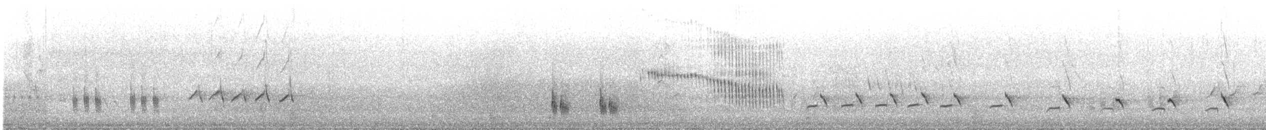 Chalk-browed Mockingbird - ML645474462