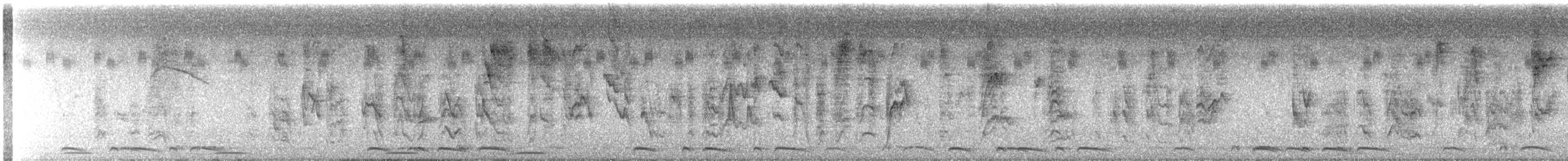 Sporophila sp. - ML645475418