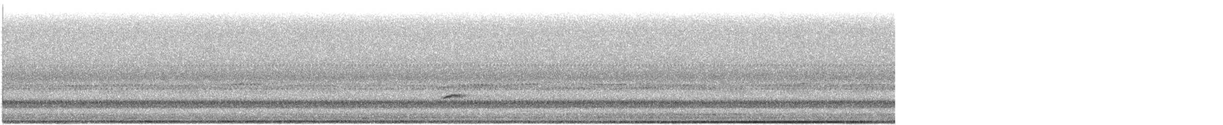 Swainson's Thrush - ML645475712