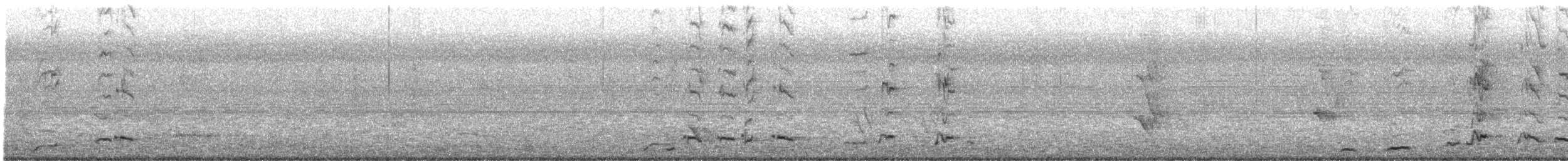 Gray Butcherbird - ML645475727