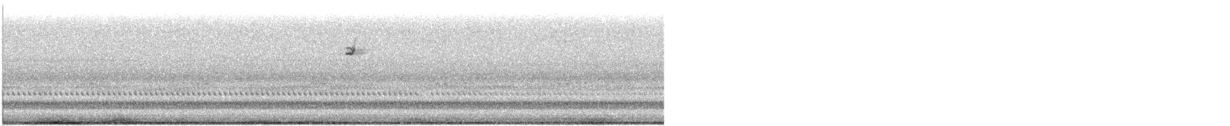 White-crowned Sparrow - ML645475737