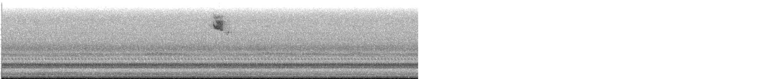 new world sparrow sp. - ML645475859