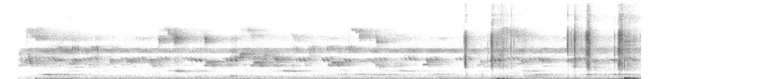 White-cheeked Barbet - ML645476124