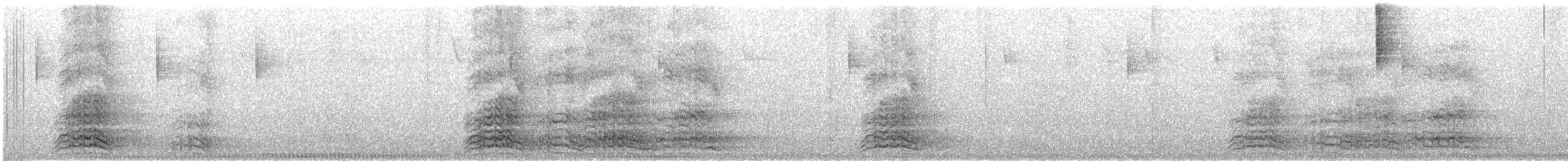 Red-crowned Amazon - ML645476361