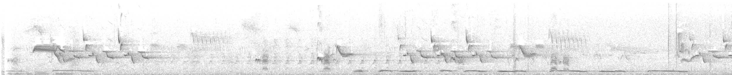 Carolina Wren - ML645476430