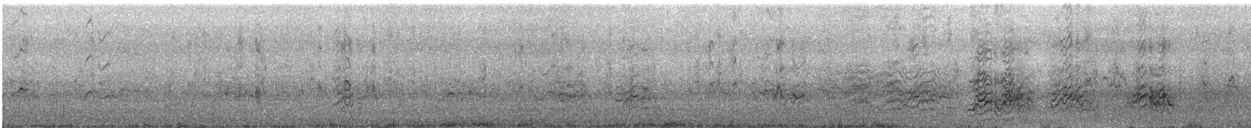 Sooty Tern - ML645478941