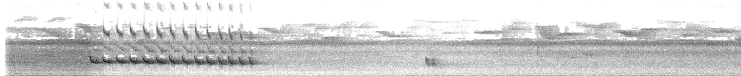 Bicolored Antvireo - ML645479210