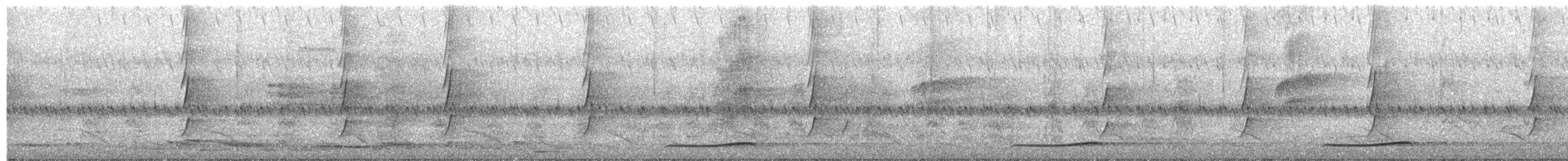 Pacific Koel - ML645479230