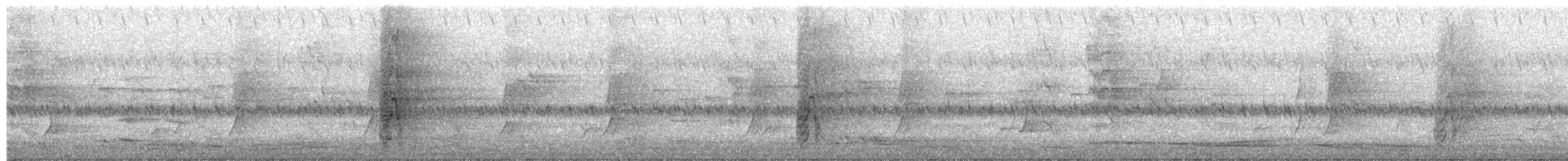 Australian King-Parrot - ML645479251