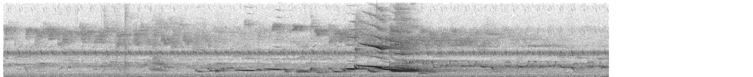 Australian Magpie - ML645479260