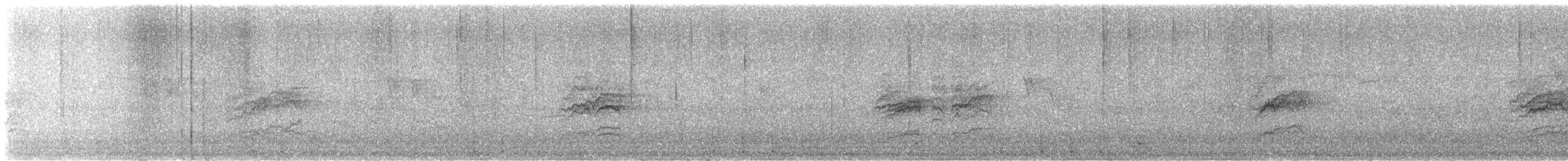 Hermit Thrush - ML645479573