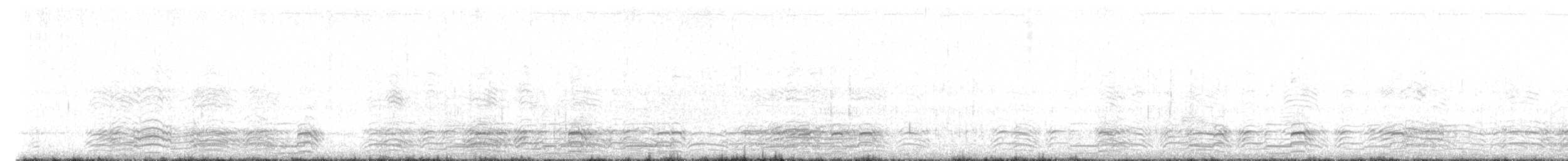 hoholka lední - ML645480644