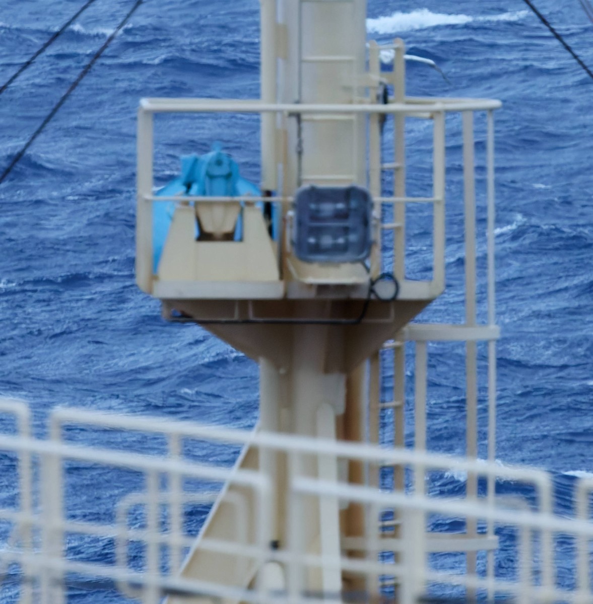 Rotfußtölpel - ML645480715