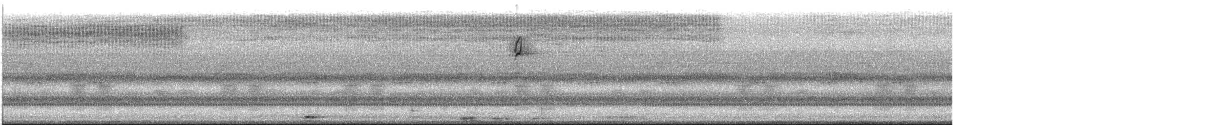 Nashville Warbler - ML645480873