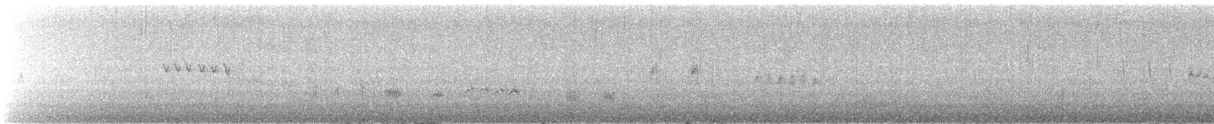 Ur-zozo iparramerikarra - ML645480894