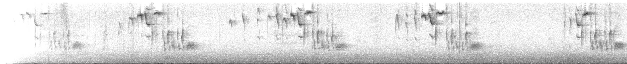 Schwarzkopfmeise - ML645481301