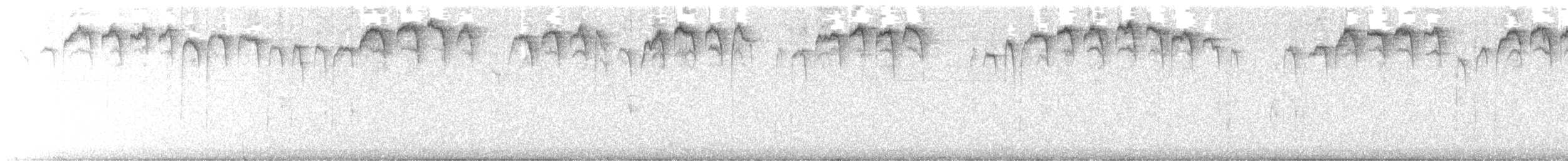 Gebirgsmeise [gambeli-Gruppe] - ML645481559