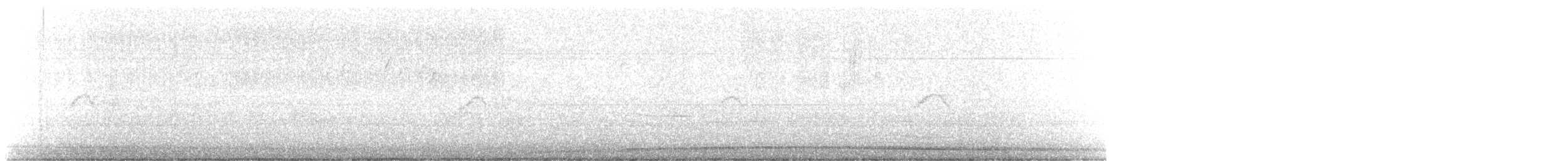 Weißbauch-Phoebetyrann - ML645481575