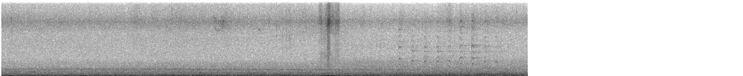 Rundschwanzhabicht - ML645481621