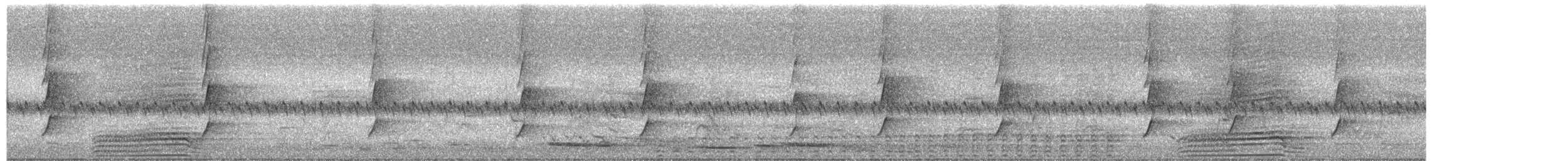 Maned Duck - ML645481630