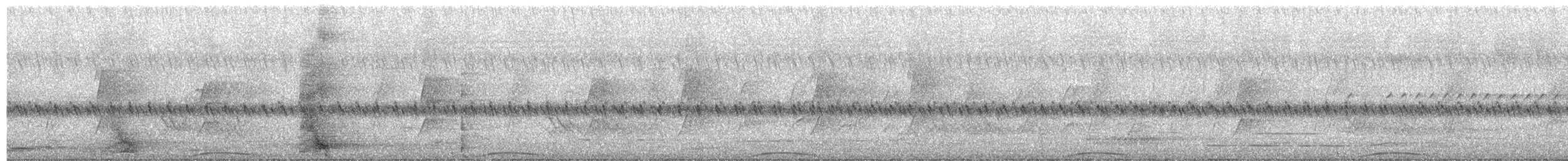 Crested Pigeon - ML645481643