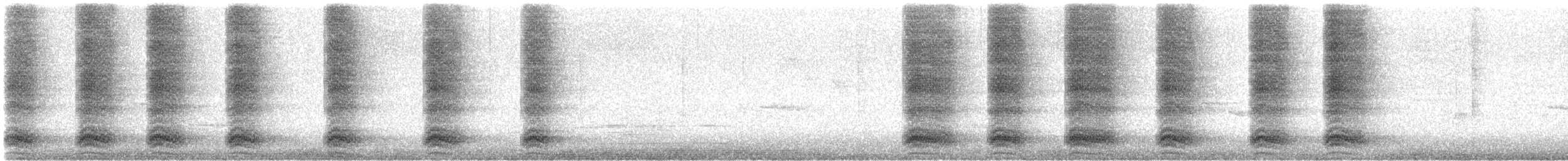 Amerikakrähe - ML645481716