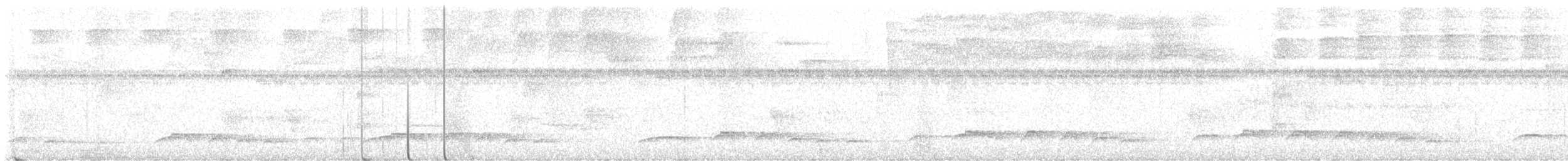 orel zdobený - ML645481971