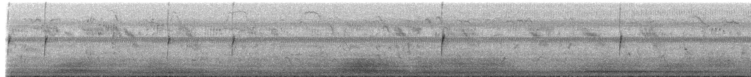 Dachsammer (leucophrys/oriantha) - ML645482030