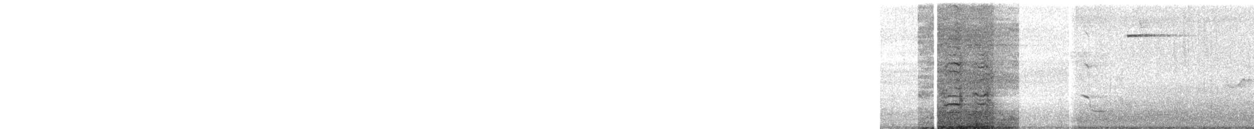 Bartsittich - ML645482199