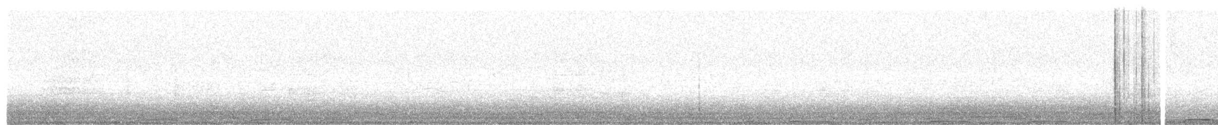 Virginiauhu - ML645482316