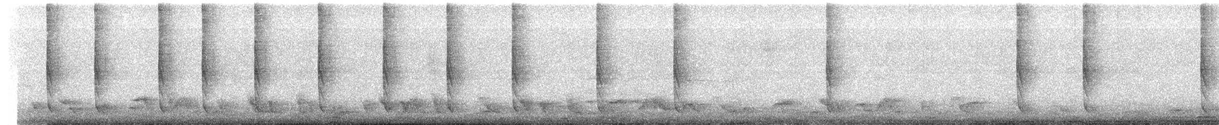 Rufous-tailed Hummingbird - ML645483009