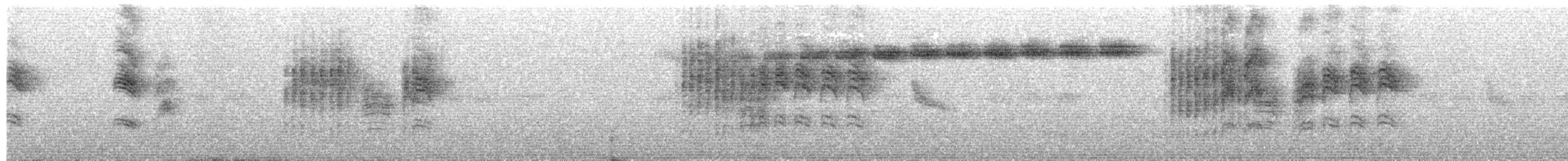 White-bellied Erpornis - ML645483074