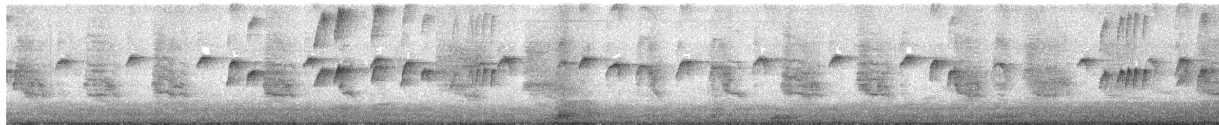 Tropical Kingbird - ML645483206