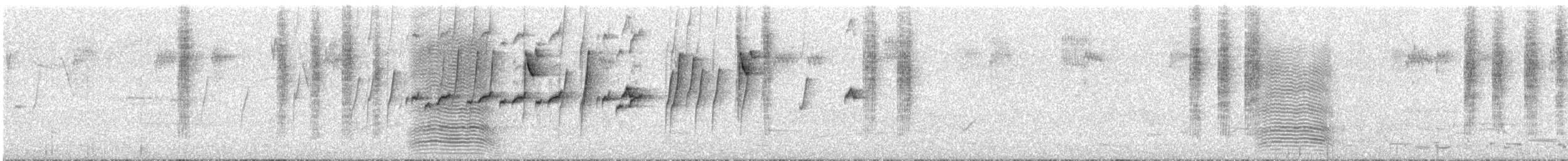Eastern Spinebill - ML645483275