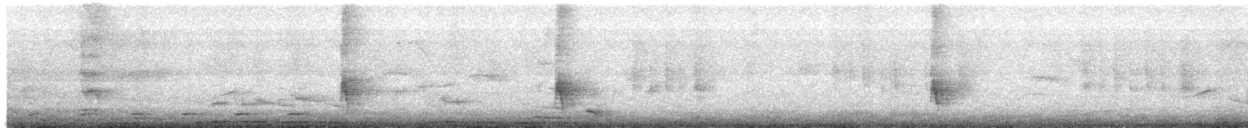 Tropical Mockingbird - ML645483318