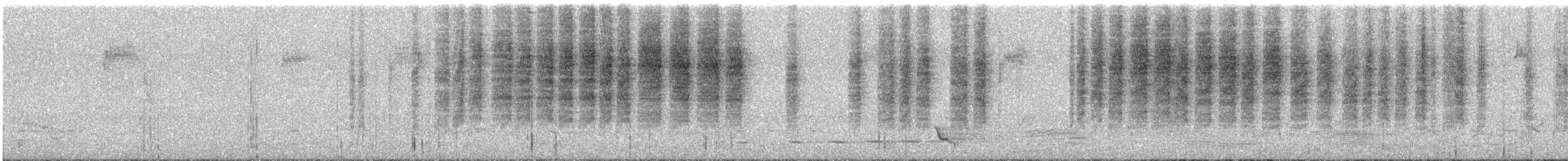 Brown Thornbill - ML645483327