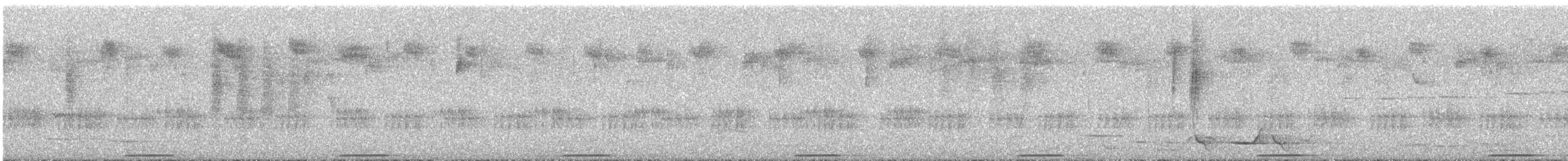 Brush Bronzewing - ML645483390