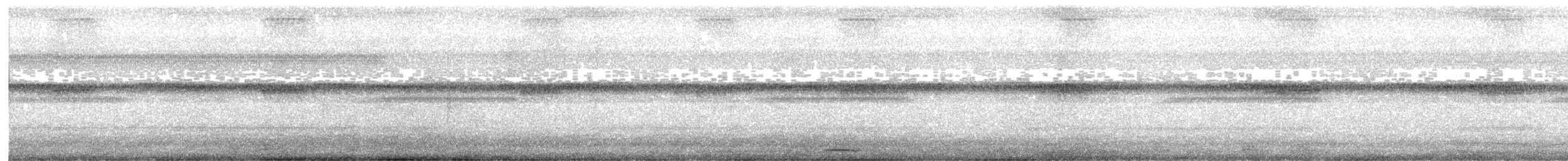 Tropical Screech-Owl - ML645483395