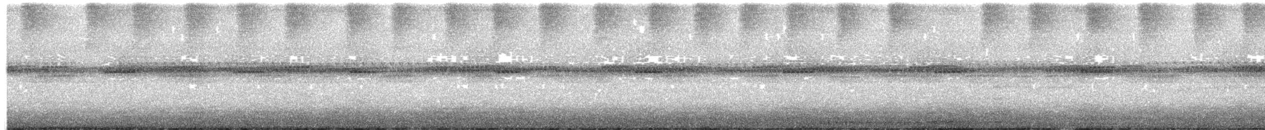 Tropical Screech-Owl - ML645483432