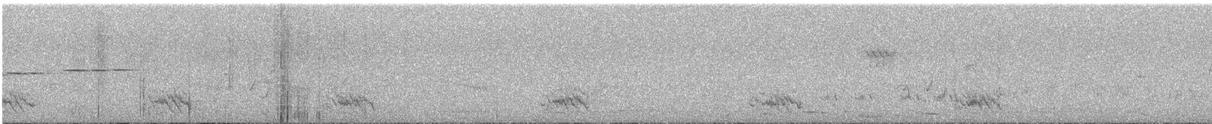 Black-faced Cuckooshrike - ML645483447