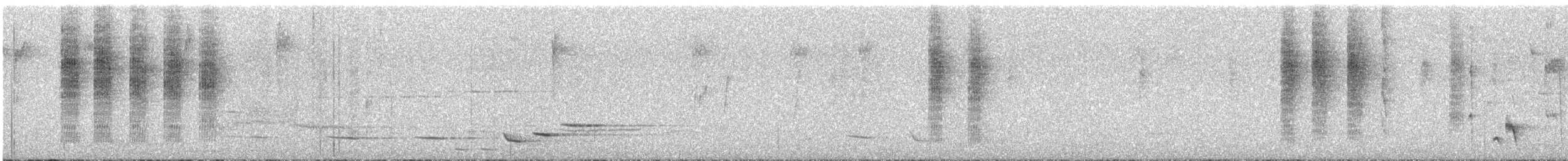 Brown Thornbill - ML645483524