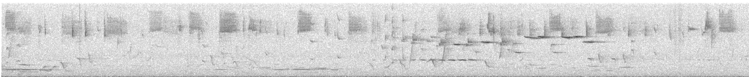 Gray Fantail - ML645483548