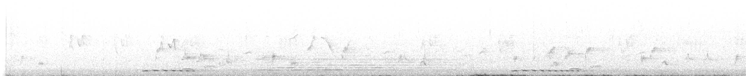 Indian Scimitar-Babbler - ML645483655