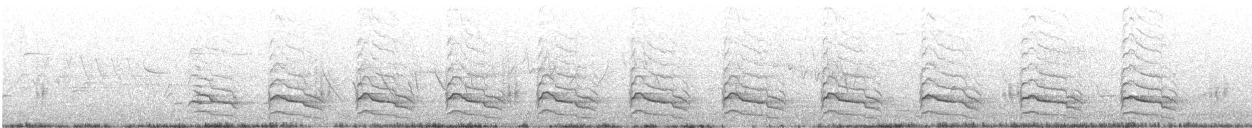 Red-shouldered Hawk - ML645483888