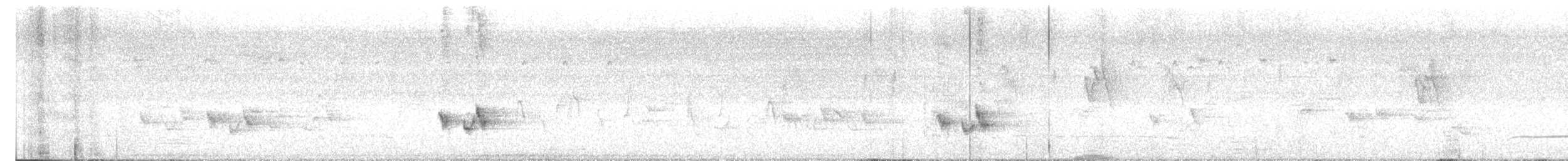 Banded Bay Cuckoo - ML645484030