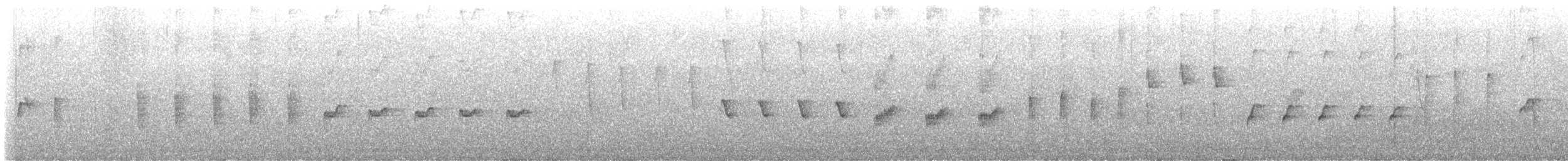 South Island Robin - ML645484038