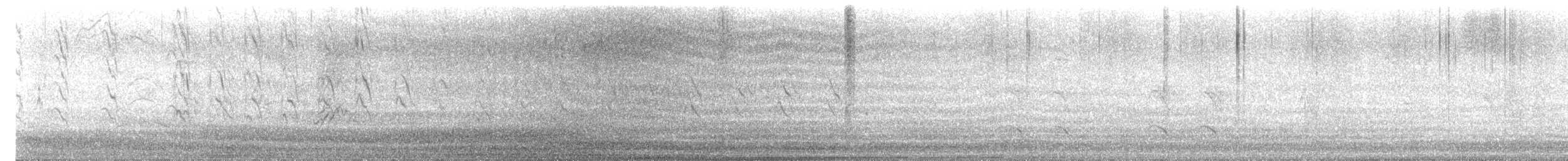 オオホンセイインコ - ML645484678