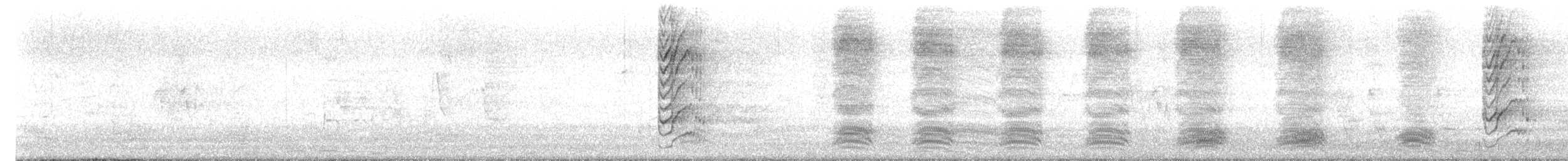 Александрийский попугай - ML645484691