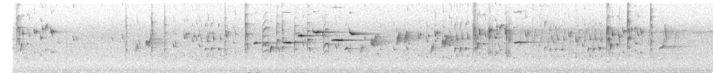 Серая веерохвостка - ML645484787