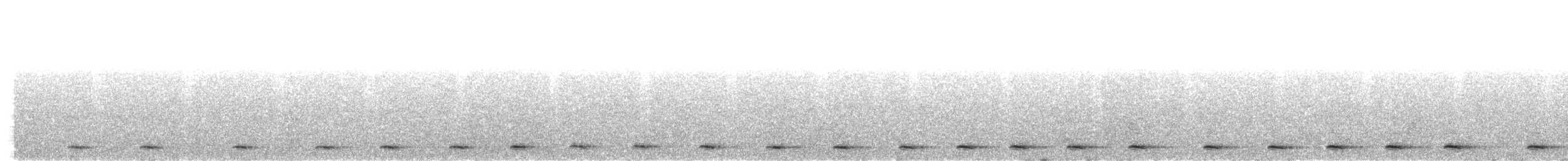 Светлобрюхий сыч - ML645484986